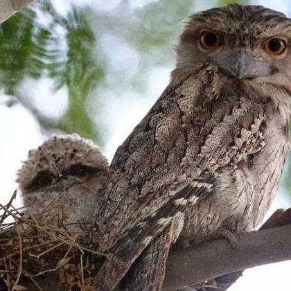 《暖雪大师皮肤攻略：独家解锁技巧揭秘》