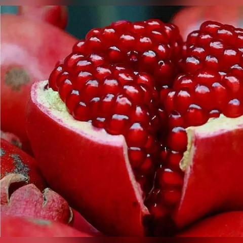 西部游戏盘点：盘点那些让你欲罢不能的西部佳作