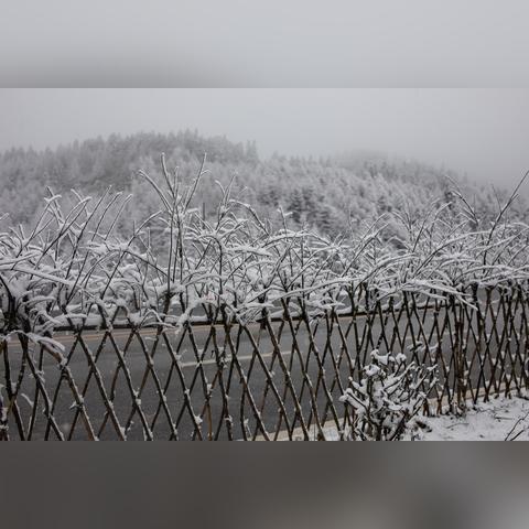 《雪地狂欢！盘点十大最受欢迎雪游戏排行》