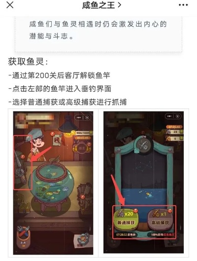 咸鱼之王：惊涛鱼灵高效获取攻略秘籍
