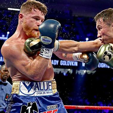 《拳坛巅峰！盘点十大必玩拳击游戏排行》