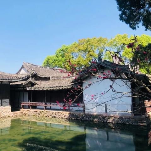 《纵轴游戏盘点：热门新游推荐，不容错过的精彩》