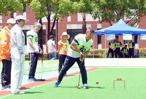 《揭秘！2023年度十大热门社交游戏排行》