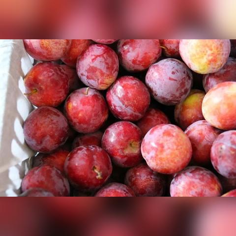 《基地建设游戏盘点：热门精选，打造你的虚拟王国》