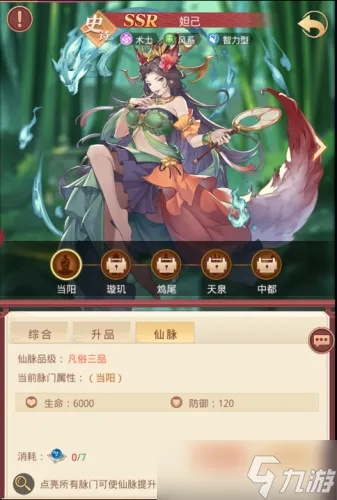 神将养成攻略：国漫之光培养秘籍大揭秘