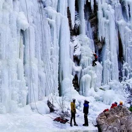 《桃源记冬季生存指南：独家攻略揭秘》