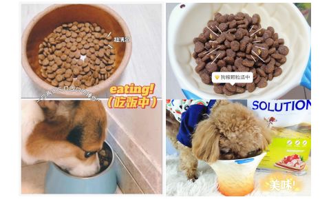 《盘点十大热门放置游戏，不容错过的放置游戏排行》