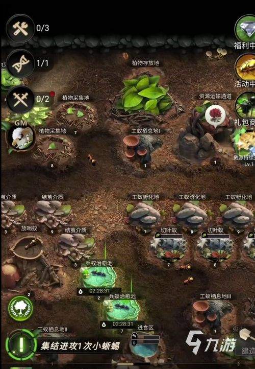 小小蚁国新手攻略:初期进化类型选择全解析 小小蚁国新手攻略:初期进化类型选择全解析