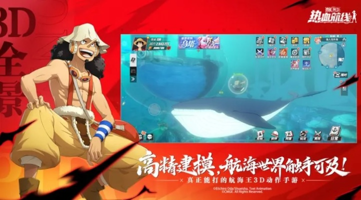 《航海王意志升级秘籍：轻松提升战斗力》