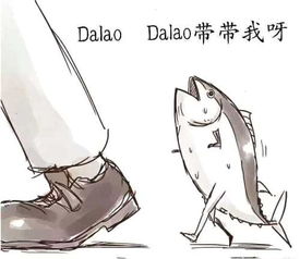 咸鱼之王鱼灵搭配攻略：附身鱼灵推荐全解析