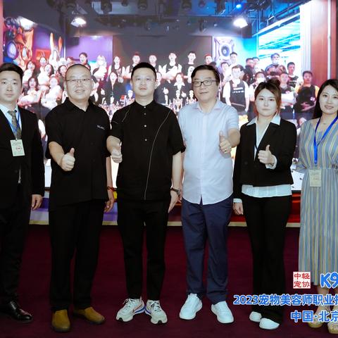 《热力榜单！2023年十大最受欢迎宠物游戏盘点》