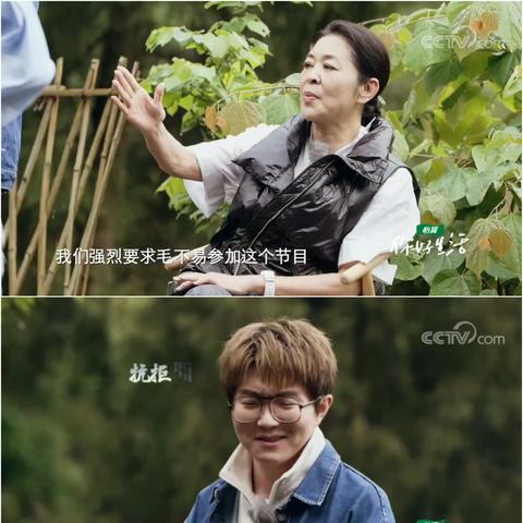 黄金满堂彩奇遇全解析，坐标细节与隐藏技巧