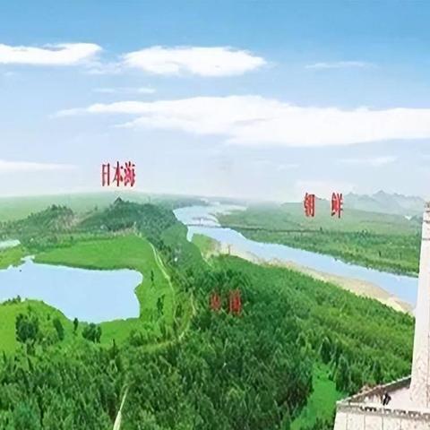 《新手攻略！碉堡三国阵容推荐，轻松上分》