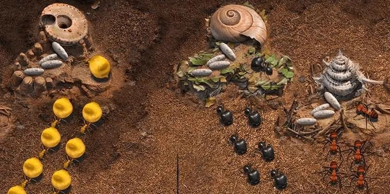 小小蚁国野怪轻松上阵攻略：高效出征技巧揭秘