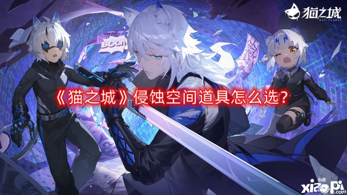 猫之城空间道具选择攻略：高效提升侵蚀空间技巧