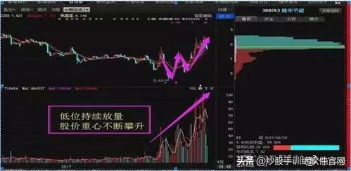 《氪金之王炒股攻略：独家系统玩法揭秘》