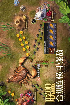 《小小蚁国平民攻略：高效玩法技巧揭秘》