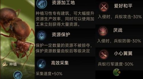 《小小蚁国平民攻略：高效玩法技巧揭秘》