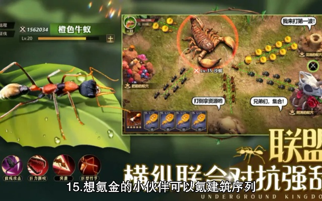 小小蚁国狩猎攻略：野外生物狩猎技巧揭秘