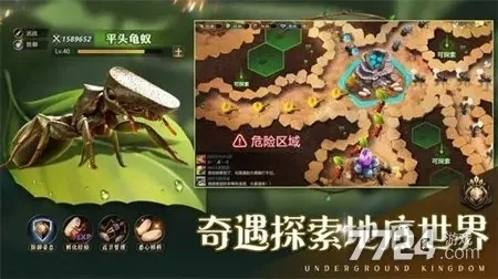 小小蚁国采集加速攻略：野外高效采集秘籍