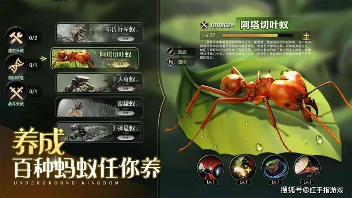 《小小蚁国搬砖攻略:高效打金秘籍速览》 《小小蚁国搬砖攻略:高效打金秘籍速览》