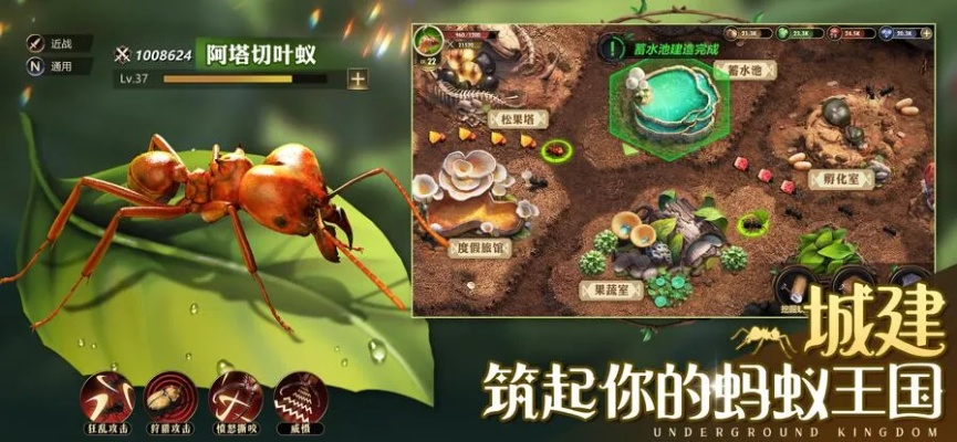 《小小蚁国搬砖攻略:高效打金秘籍速览》 《小小蚁国搬砖攻略:高效打金秘籍速览》