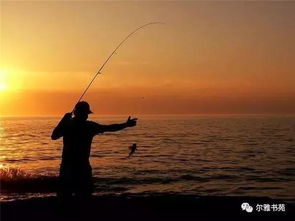 《狩猎时刻钓鱼攻略：高效钓鱼技巧揭秘》