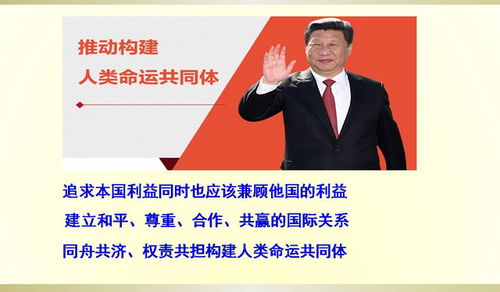 《3tiles攻略：高效通关秘籍大揭秘》