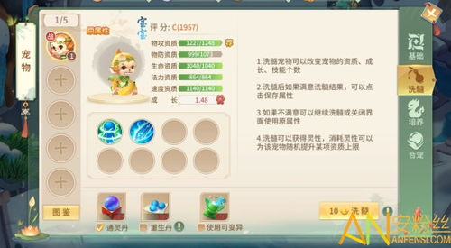 龙之谷护符获取攻略：全方位道具收集秘籍