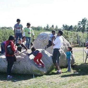 《农业游戏推荐：盘点热门农场模拟大作》