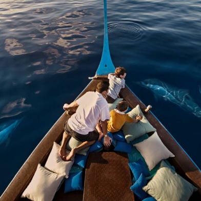 《黎明之海魔鬼船BOSS战攻略：轻松通关秘籍》