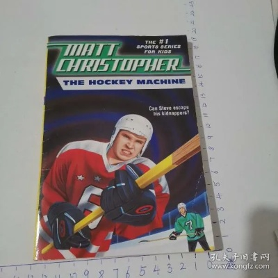 冰球游戏盘点：十大经典冰球游戏推荐，不容错过！