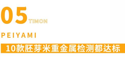 《掷在四方新手攻略：快速上手必备技巧》