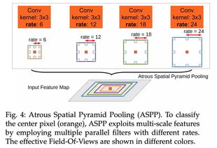 百分之一萌新必看！入坑指南全解析