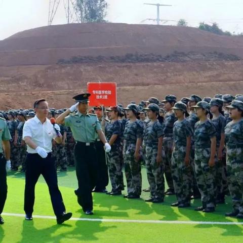 狩猎游戏盘点：2023年度热门狩猎游戏推荐！