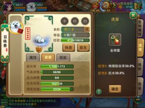 《宠物再战攻略：高效出战技巧揭秘》