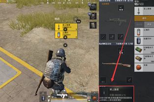 《流浪方舟核心盘点：揭秘超稀有核心效果全览》