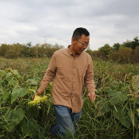 桃源记2种田达人攻略：高效种植技巧全解析