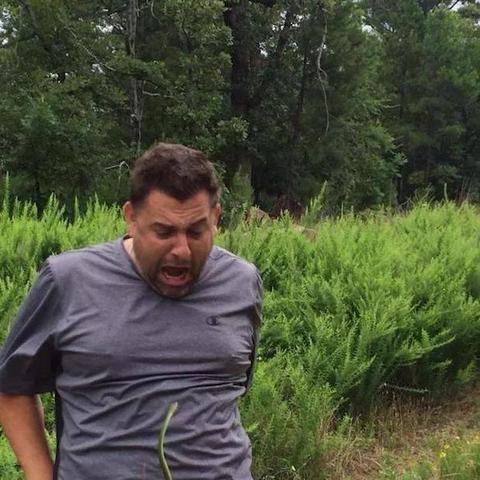 弹射游戏盘点：十大热门弹射游戏排行推荐