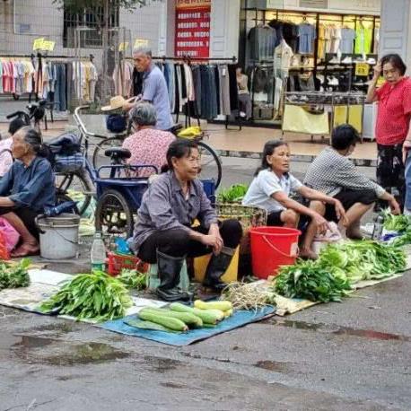 《大房东小吃摊解锁攻略：独家建造秘籍》