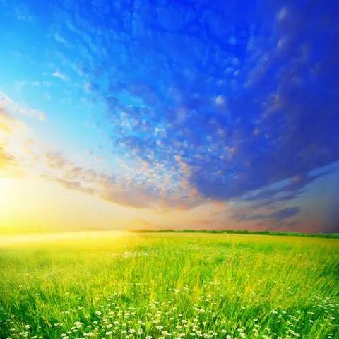 《十大绝美游戏盘点：唯美游戏下载必看清单》