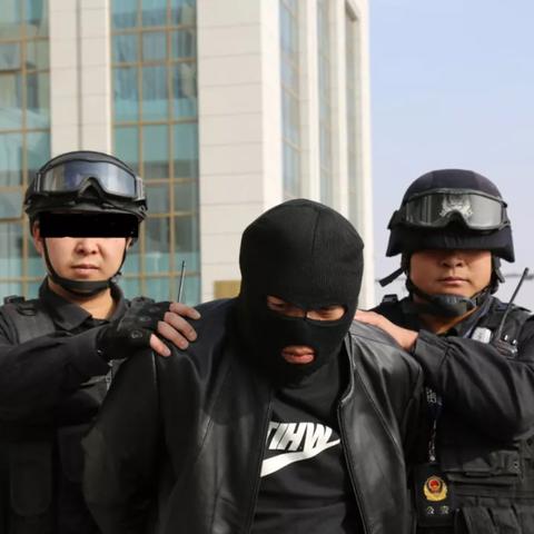 《热门排行！交通运输游戏TOP10，人气爆款一网打尽》