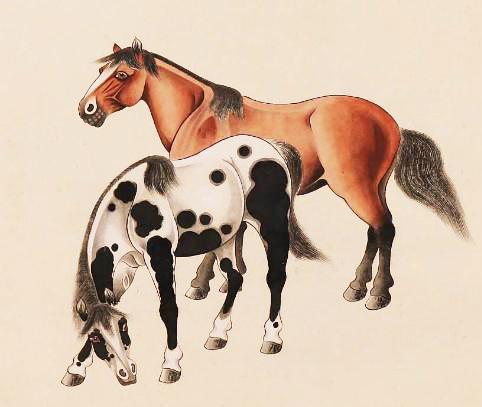 《诺亚之心马匹血统识别秘籍：轻松掌握血统分辨技巧》