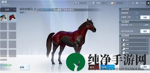 《诺亚之心马术攻略：高效养马育马技巧揭秘》