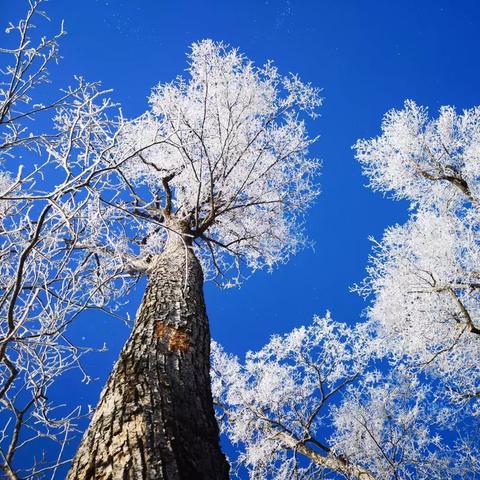 狩猎游戏盘点：热门狩猎游戏推荐，畅享狩猎乐趣