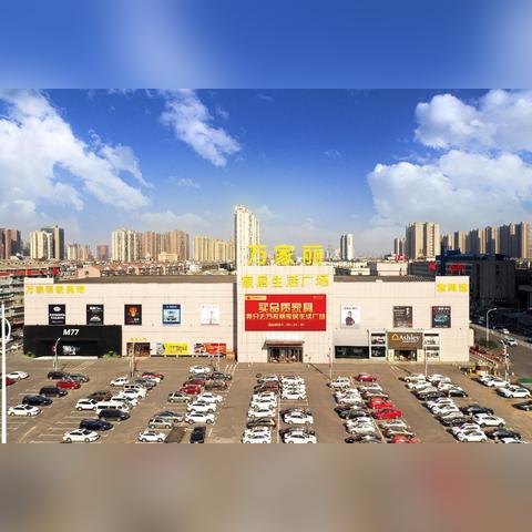 《晚安森林食谱秘籍：独家料理配方大盘点》