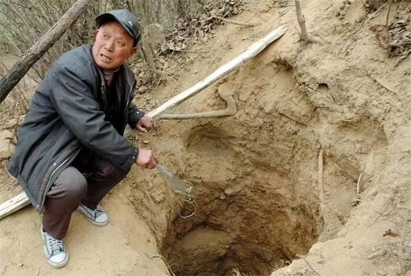 《华夏挖坟秘籍：解锁无悔技巧攻略》