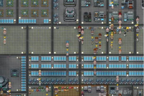 《秩序：新曙光》中期生存攻略秘籍大揭秘