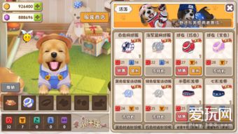 龙晶升变任务攻略：高效升级秘籍曝光