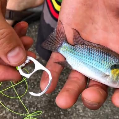 《家店钓鱼达人秘籍：高效钓鱼技巧全解析》